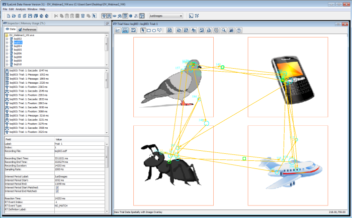 Data Viewer Eye Tracking Software