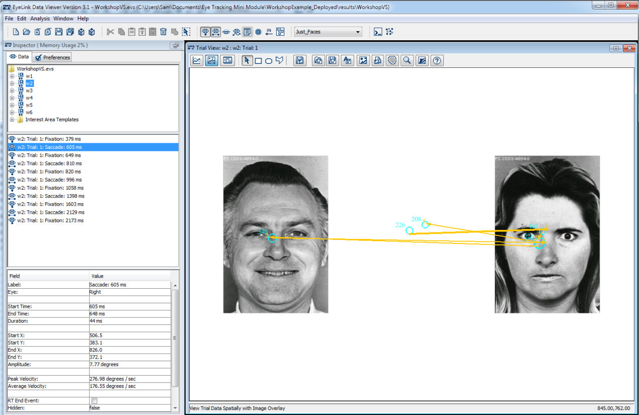 Data Viewer Eye Tracking Software