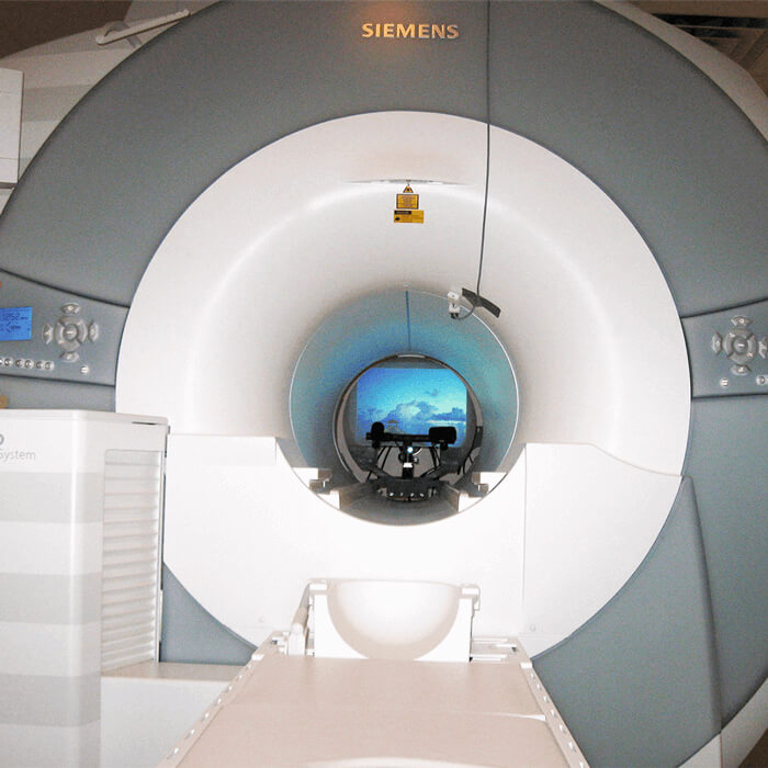 SR Research Eye Tracking fMRI and MEG