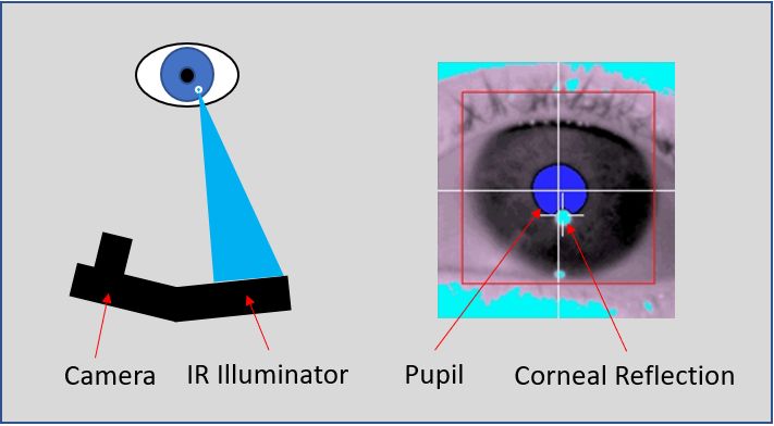 Pupil and Corneal Reflection