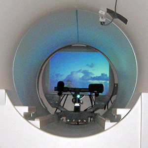 fMRI and MEG Eye Tracking Solutions