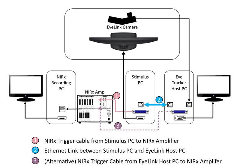 NIRx EyeLink Eye Tracker Integration