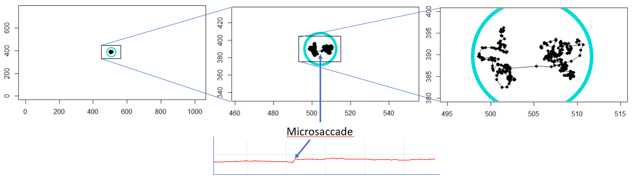 Microsaccade