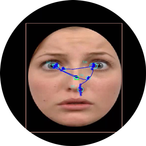 Stimuli-Pupillometry Webinar