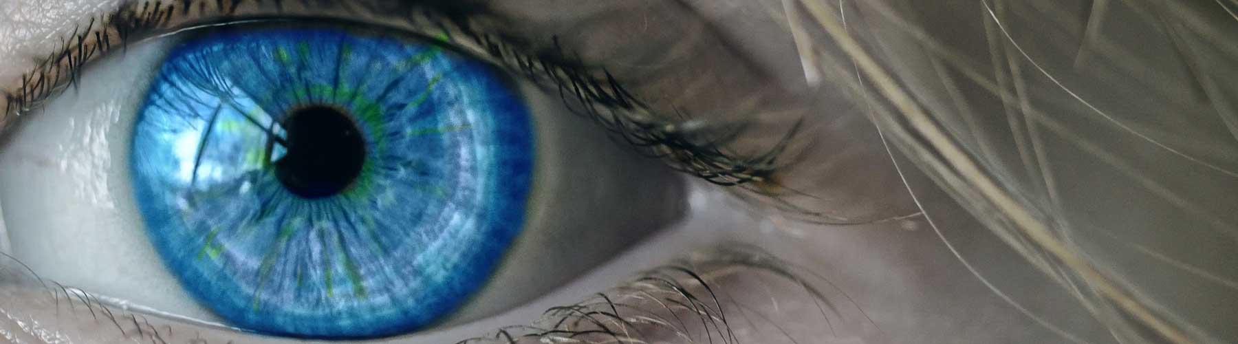 Eye Tracking for Pupillometry