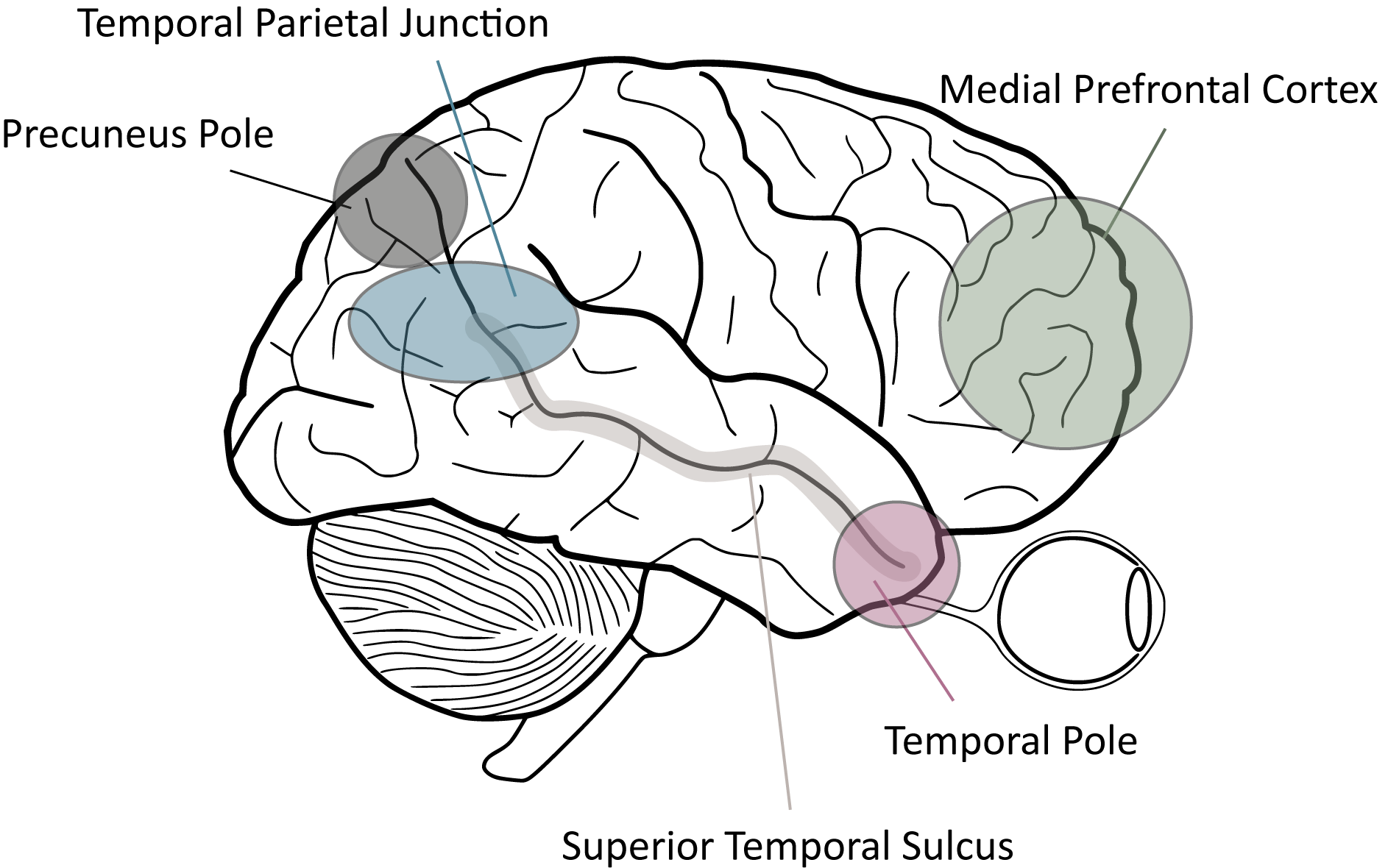 Implicit and Explicit Theory of MInd-Brain Regions