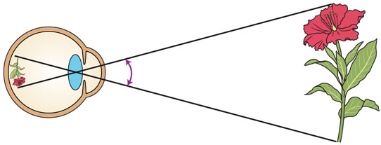 Visual Angle Example