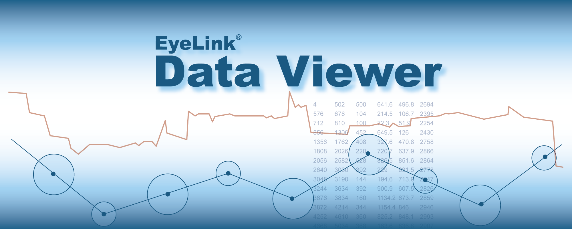 Data Viewer Eye Tracking Software