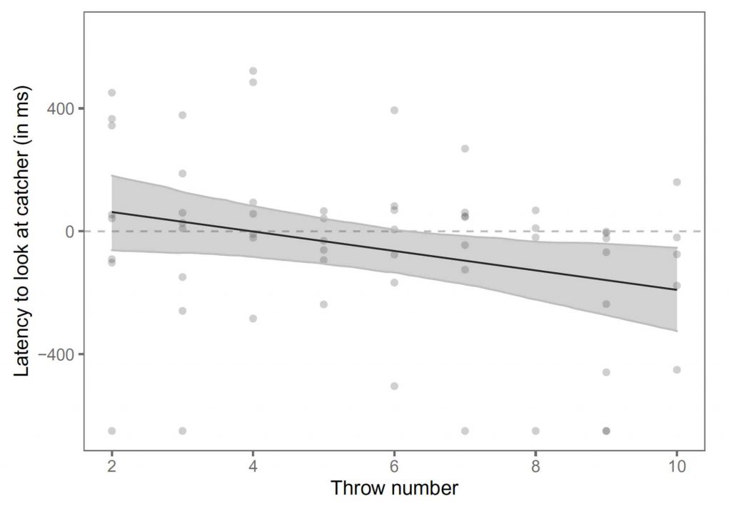 Dog Eye Tracking Results