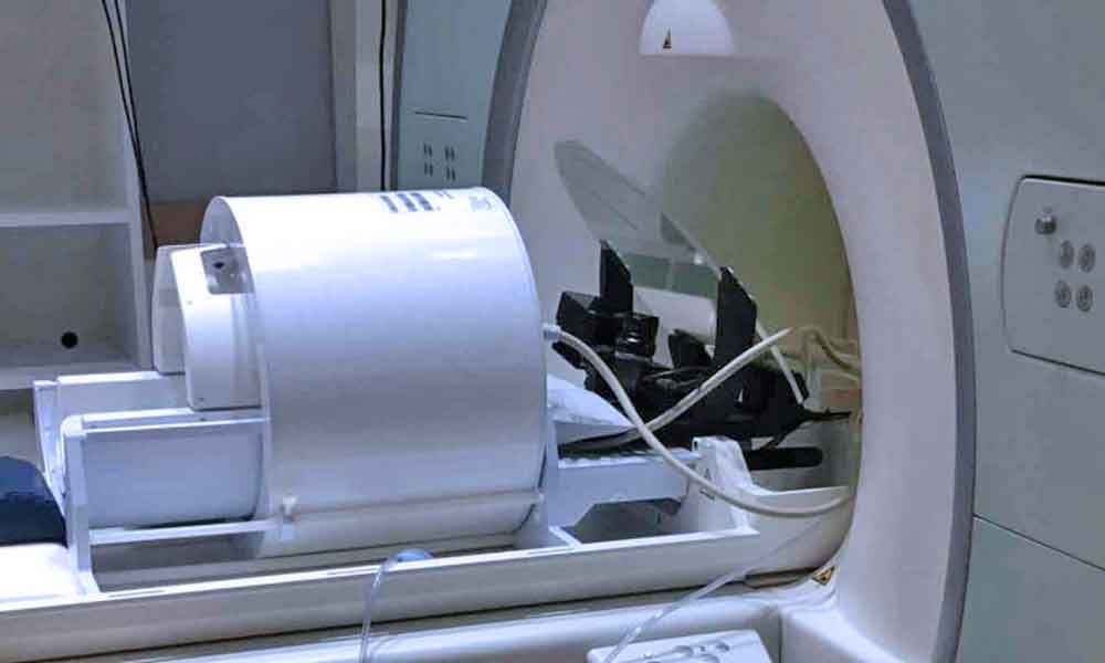 fMRI and EyeLink Eye Tracker