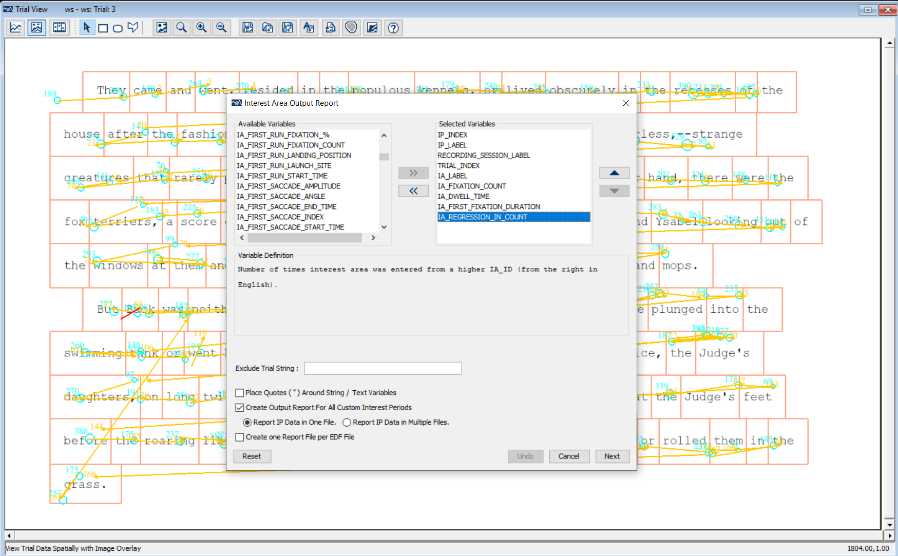 Data Viewer Eye Tracking Software - Report