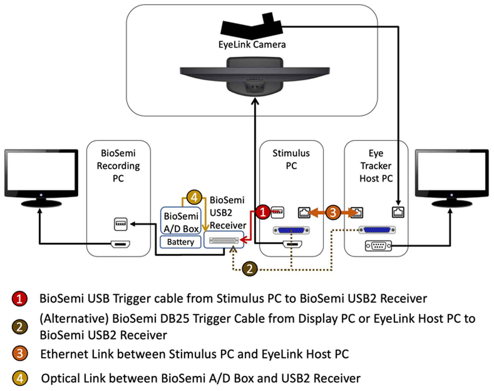 Biodemi EyeLink Integration