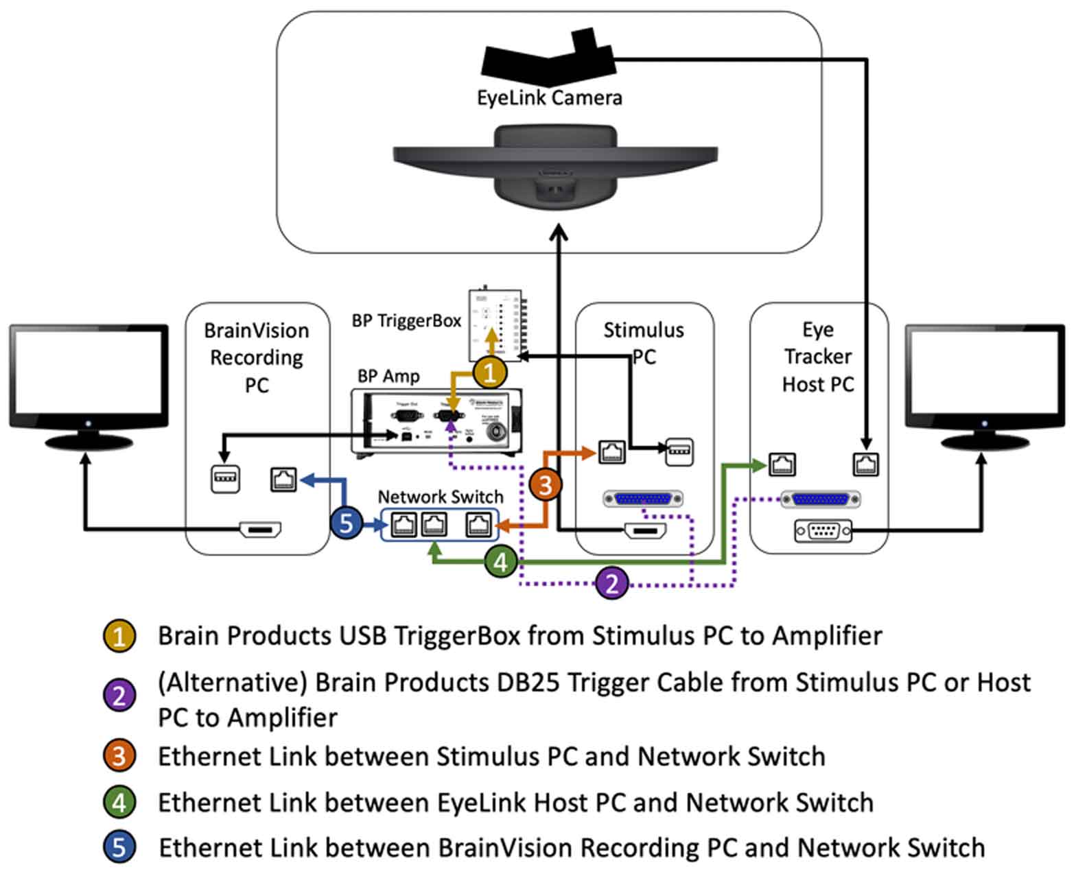 Brain Products and EyeLink Integration