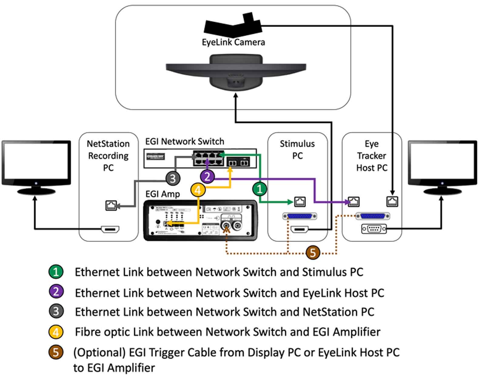 EyeLink Magstim-EGI Integration