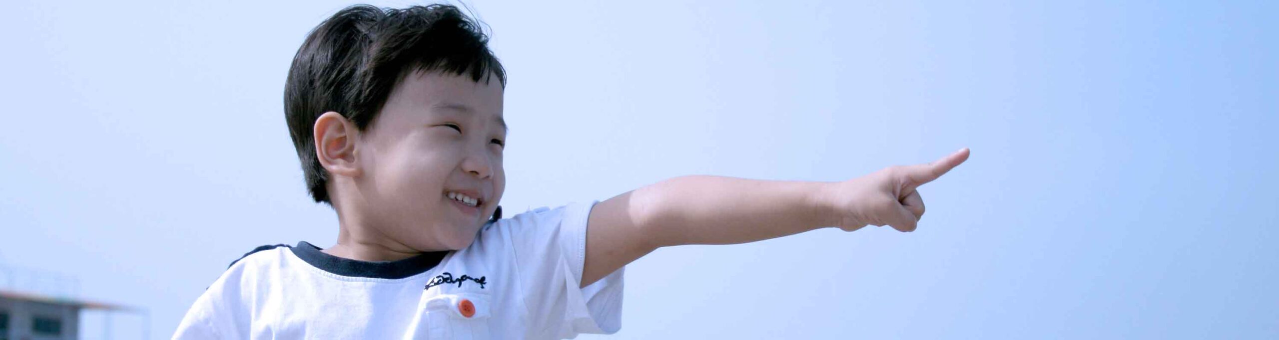 Developmental Eye Tracking the Perception of Pointing Gestures
