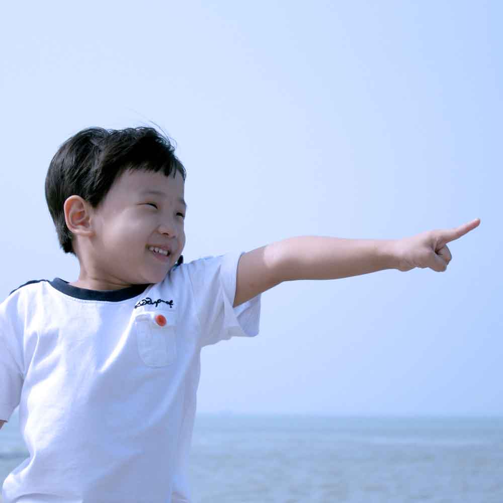 Developmental Eye Tracking the Perception of Pointing Gestures