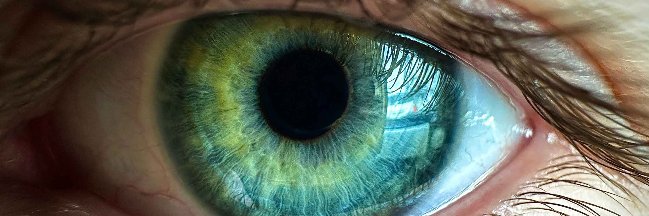 Pupillometry, Pupil Size and Eye Tracking