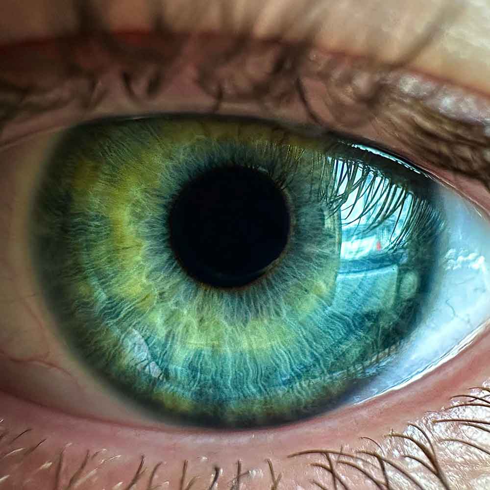 Pupillometry, Pupil Size and Eye Tracking