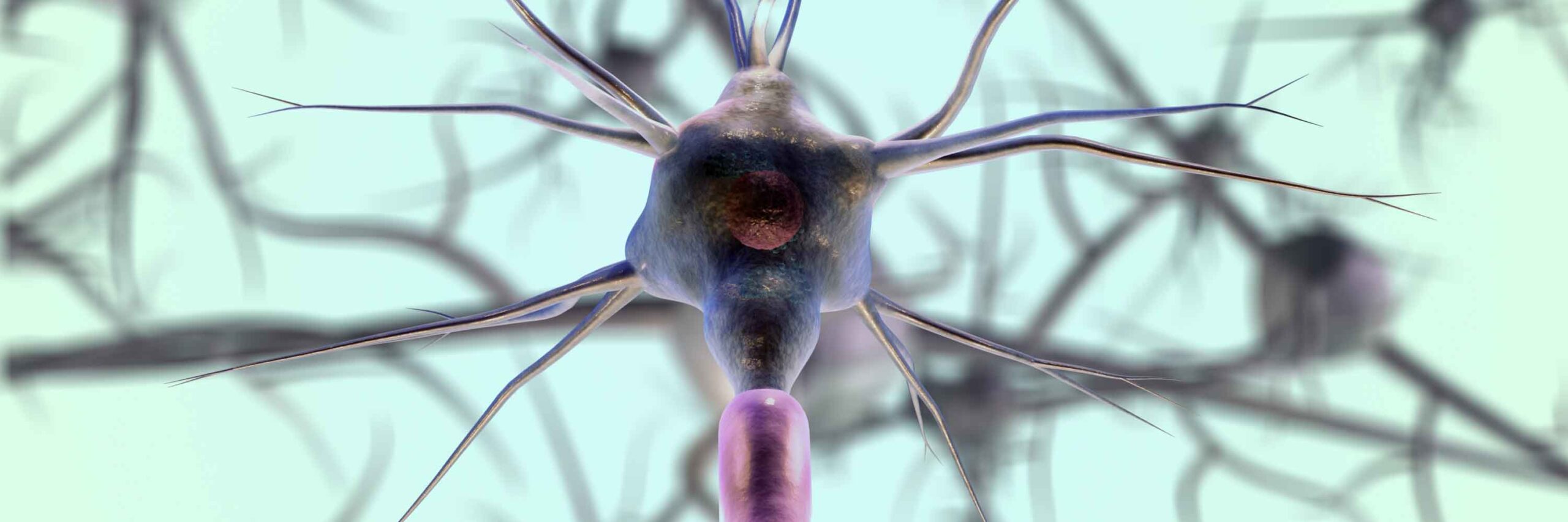 Neuroscience Research, Eye Tracker, Eye Tracking, SR Research