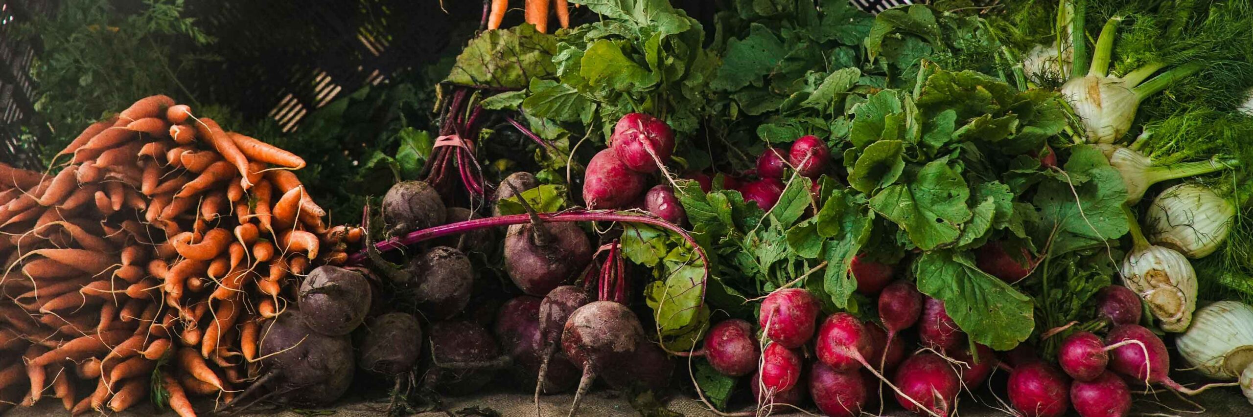 Visual Stability Eye Tracking