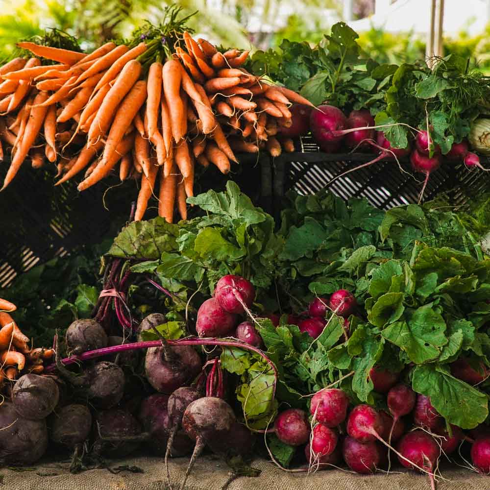 Visual Stability Eye Tracking